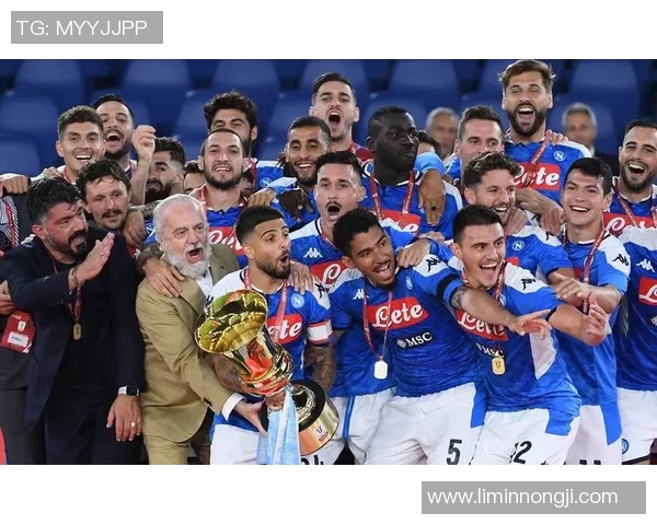 意甲转会风云米兰锁定布鲁日中场那不勒斯积极引援布局新赛季